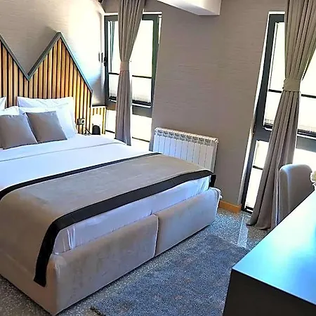 Hotel Modern Mountain