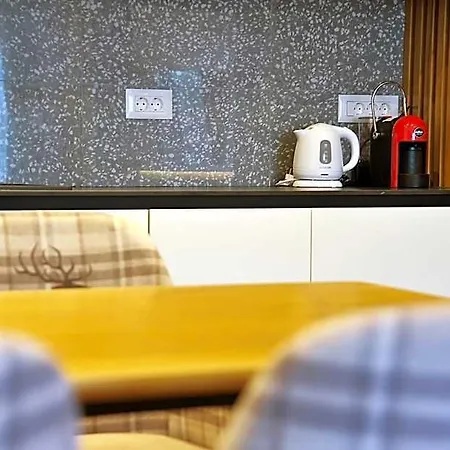 Modern Mountain Hotel 4*